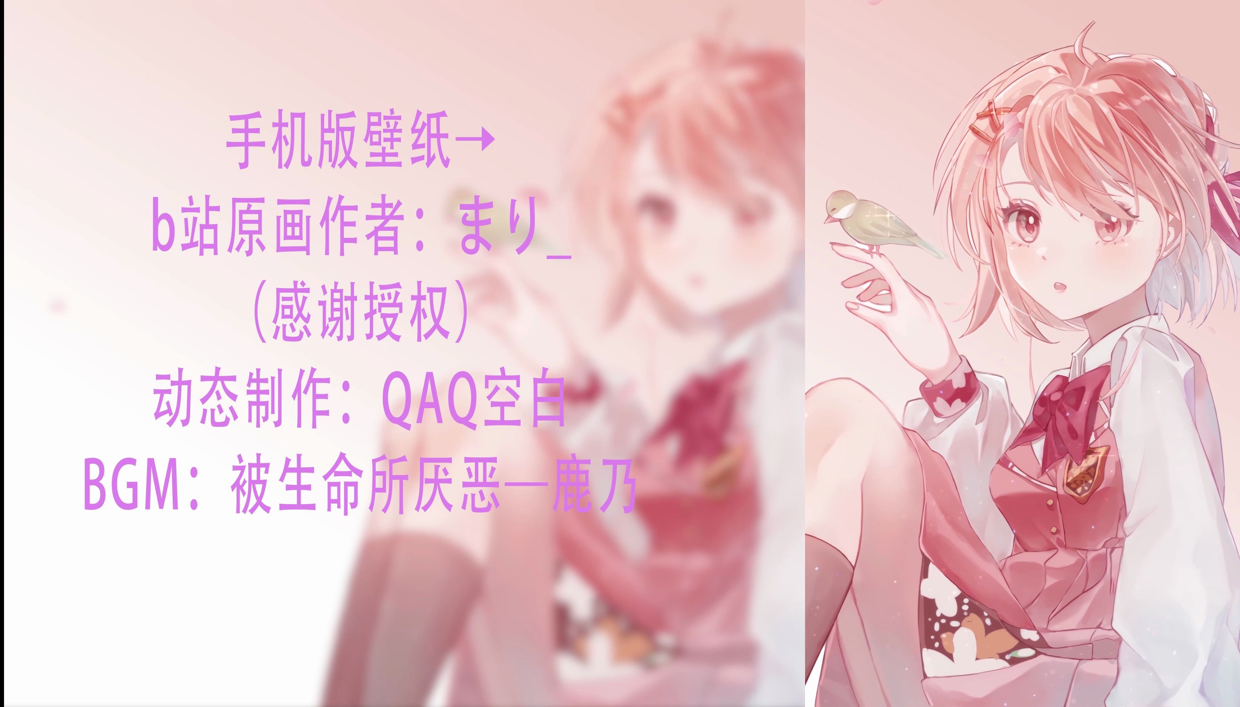 1758947528_794323_557b2d8f474f1236_u1