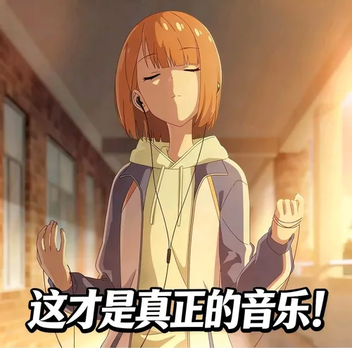 这才是真正的音乐