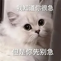 测试